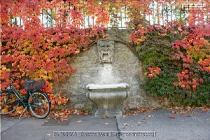 Brunnen dieser Stadt